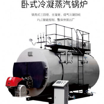 環(huán)保鍋爐/蒸汽鍋爐/燃油/燃氣