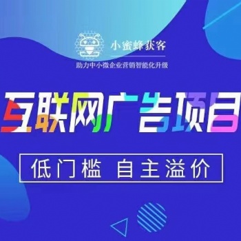 互聯網輕資產項目，想賺錢的看過來