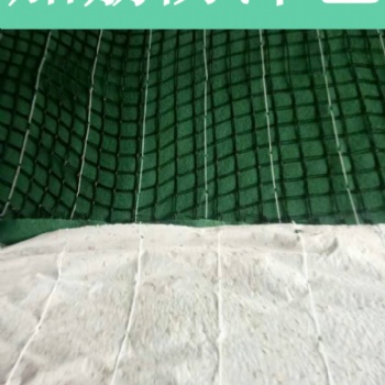 江西椰絲毯供應(yīng)加筋防沖毯生產(chǎn)基地 生態(tài)毯 山西生態(tài)毯