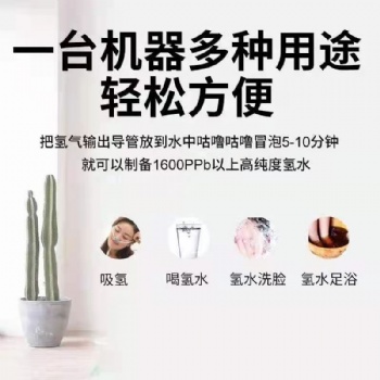 鴻?？翟?家用呼吸機(jī) 氫氧呼吸機(jī) 氫氣霧化機(jī) 氫氧霧化機(jī)生產(chǎn)廠家
