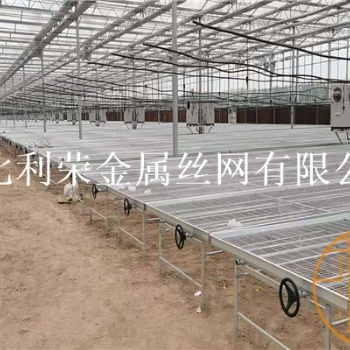 花卉苗床花卉苗床網(wǎng)大棚花卉苗床網(wǎng)