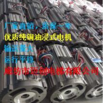 廠家供應(yīng)家用電梯1.5KW油浸式電機(jī)