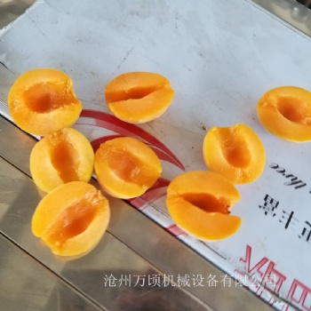 杏子分半機杏子去核機杏子核肉分離設(shè)備規(guī)格齊全