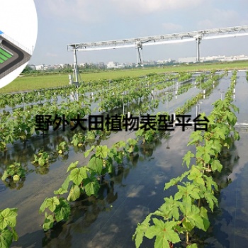 傳送帶植物生長平臺擔(dān)負(fù)輸送植物樣品移動(dòng)
