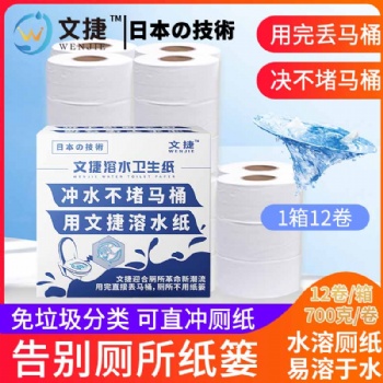 河南文捷紙衛(wèi)生紙沖水紙卷筒紙廁紙易容環(huán)保商務大盤紙1箱
