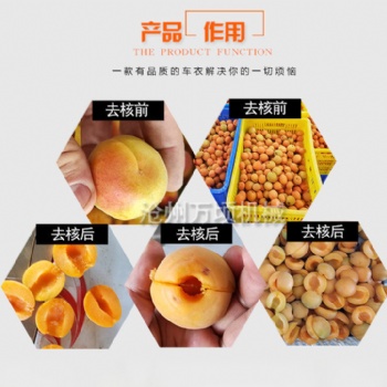 江西我愛發(fā)明杏子去核機視頻