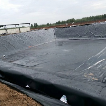 污水處理項(xiàng)目防滲土工膜氧化塘建設(shè)土工膜廠家直供