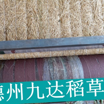 高速護(hù)坡椰絲毯生產(chǎn)廠家 加筋抗沖綠化毯