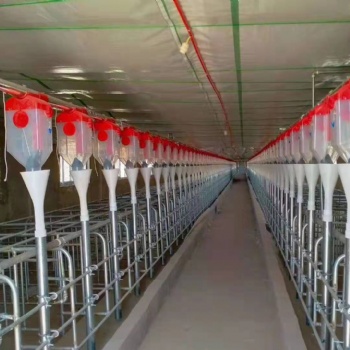 撫順地區(qū)全自動化料線 豬舍養(yǎng)殖設備自動上料線