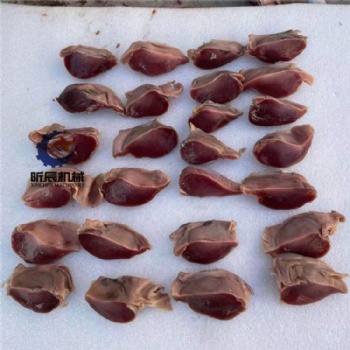 中小型全自動(dòng)多功能鴨胗切割機(jī)鴨胗切片機(jī)