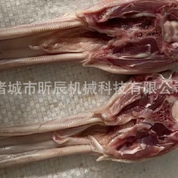 中小型全自動(dòng)多功能鴨頭切割機(jī)鴨頭劈半機(jī)