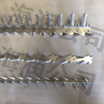 農(nóng)村墻頭屋頂鍍鋅防爬刺釘 圍墻護(hù)欄阻爬防盜刺釘