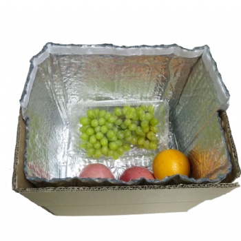 生鮮水果保溫防潮包裝 鋁箔立體泡泡袋 紙箱內(nèi)襯 可定制