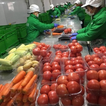 泉州工廠生鮮供應商|豐澤區(qū)蔬菜糧油配送
