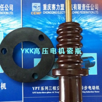 賽力盟高壓電機(jī)絕緣子 湘潭電機(jī)絕緣子 陶瓷絕緣子
