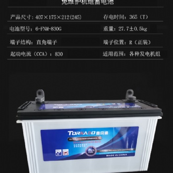 發(fā)電機組蓄電池6-FNM-830G