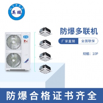 化學(xué)工廠天花式防爆多聯(lián)機(jī)-十匹一拖四