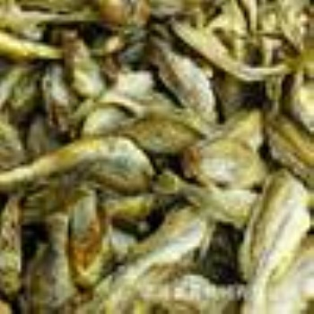 小黃魚低溫脫水設(shè)備-青島供應(yīng)商-不銹鋼材質(zhì)-奧普機械