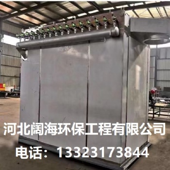 單機(jī)倉(cāng)頂收塵器 礦山鑄造廠車(chē)間收塵設(shè)備 河北闊海廠家**