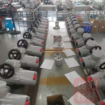 揚(yáng)修太陽能電動(dòng)執(zhí)行器FQ10電壓DC24V