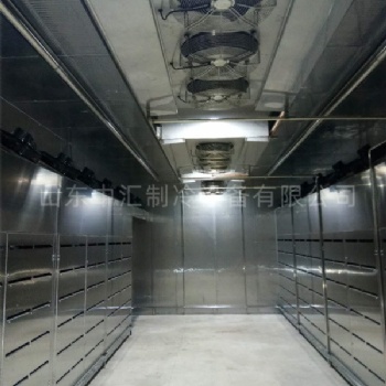 大塊凍牛肉低溫高濕緩化解凍庫(kù) 解凍機(jī)