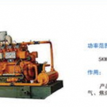 山東生物發(fā)電機設(shè)備廠家