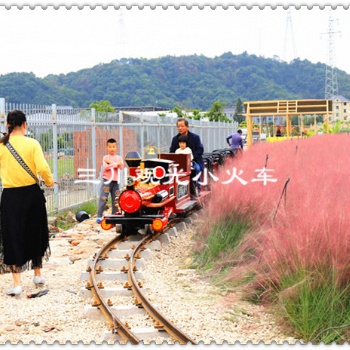 16座電動(dòng)觀光軌道火車