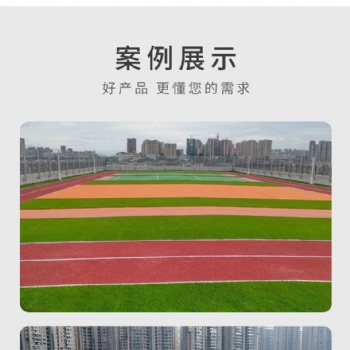 體育用品、塑膠跑道、EPDM、硅PU、人造草