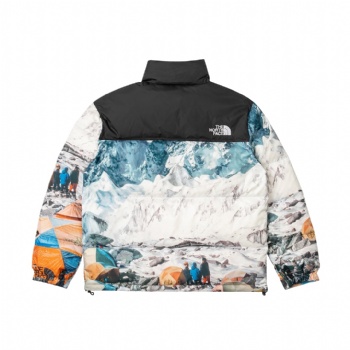 品牌原單外套衛(wèi)衣服裝北面批發(fā)庫存清倉新疆專線直郵