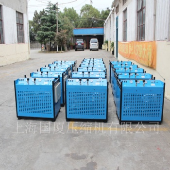 30MPA200L/min消防用呼吸壓縮機(jī)國廈