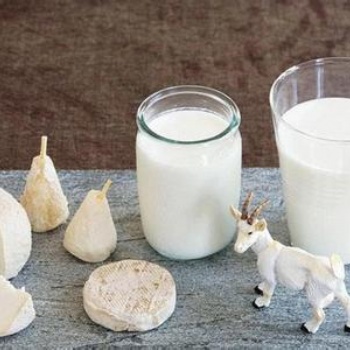 羊奶奶粉代加工 羊奶奶粉貼牌 營(yíng)養(yǎng)美味奶品