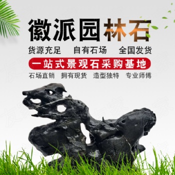 廣東太湖石獨石優(yōu)質(zhì)太湖石黑白太湖石