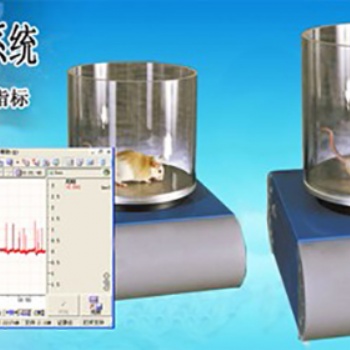 大小鼠疼痛分析系統 福爾馬林疼痛分析系統 疼痛分析系統 電子壓痛儀