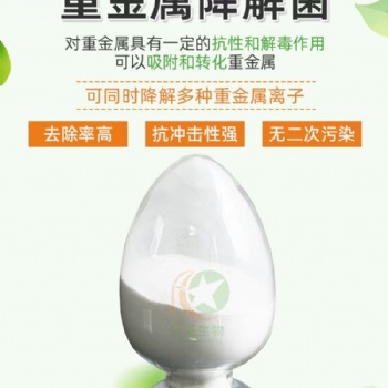 生化池運(yùn)營(yíng)重金屬降解菌