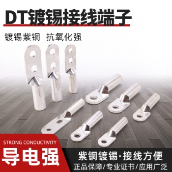 DT鍍錫釬焊銅鋁鼻子接線端子雙孔銅鋁鼻子過(guò)渡接線端子