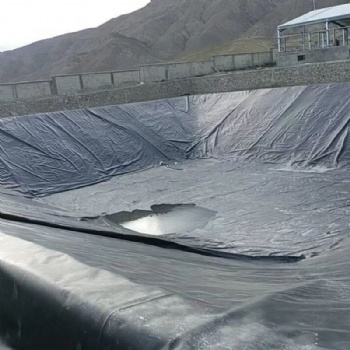 加工定制防滲土工膜垃圾填埋場(chǎng)污水處理防滲土工膜