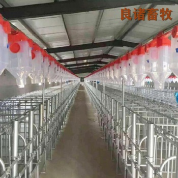 加工定制 育肥豬舍喂料設(shè)備 自動(dòng)化料線 養(yǎng)豬自動(dòng)料線 上料養(yǎng)豬料線