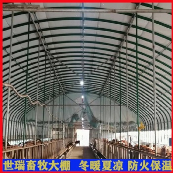新型養牛大棚搭建 養牛場牛棚施工建造 抗風雪牛棚建設