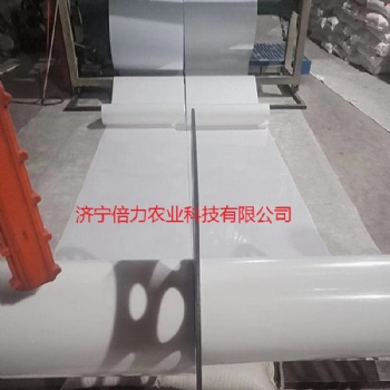 養(yǎng)雞場糞便傳送帶PP材質(zhì)