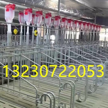 養(yǎng)豬自動喂料設(shè)備料線安裝