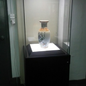 廣西私人收藏館瓷器展柜-側(cè)開門獨(dú)立博物館展柜廠家
