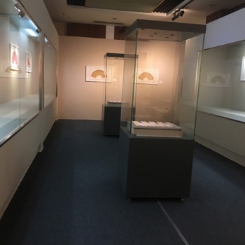 江門私人收藏館全自動(dòng)展柜-遙控平移門博物館展柜廠