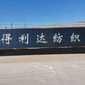 環(huán)錠紡保印染，漂白的大化滌綸紗