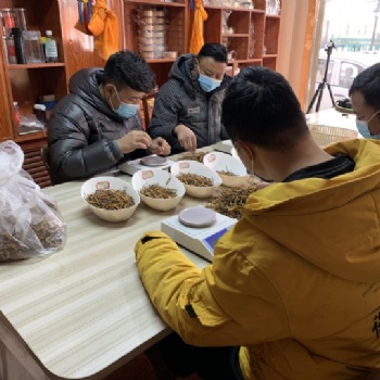 御草集提示：上班族工作壓力大，一杯冬蟲(chóng)夏草水補(bǔ)腦安神強(qiáng)身體