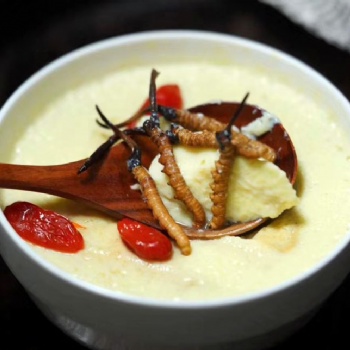 【御草集】冬蟲(chóng)夏草食譜大全，不同人群食用方法大不同！建議收藏！