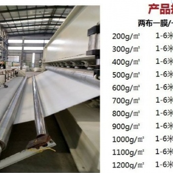 甘肅蓄水池兩布一膜使用規(guī)格，西寧垃圾填埋場防滲土工膜、長絲土工布生產(chǎn)廠家