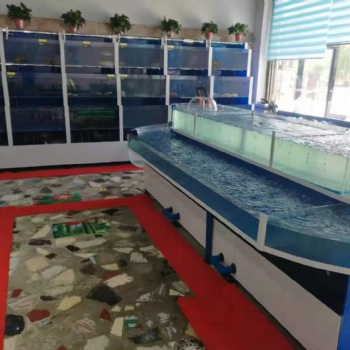 保定鑫德龍水族定制各類(lèi)魚(yú)缸