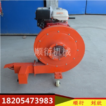 汽油吹風(fēng)機(jī) 圓頭吹風(fēng)機(jī) 手推式馬路吹干機(jī)