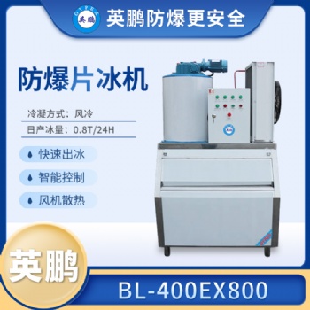 安徽化工降溫防爆片冰機(jī)BL-400EX800