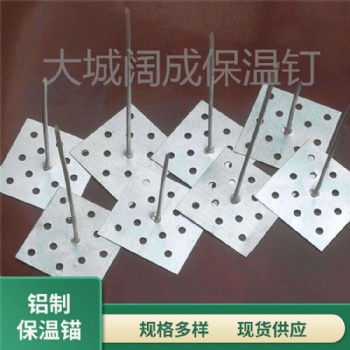 出售精品鋁釘子膠水保溫釘中央空調(diào)網(wǎng)孔粘釘鎖片